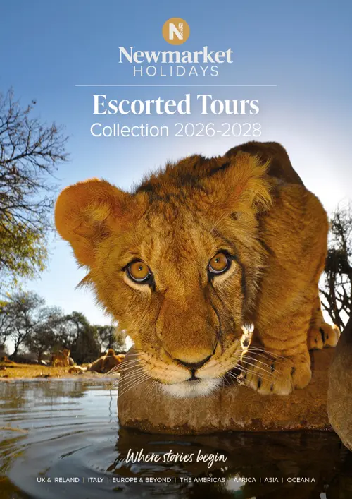 Nmh New Toy Cover 2026 28 Ed1 Lr