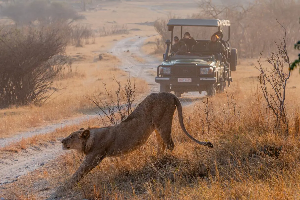 Game Drive 01