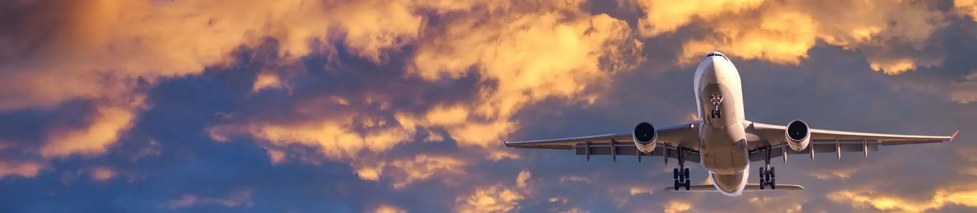 Airplane in the sky