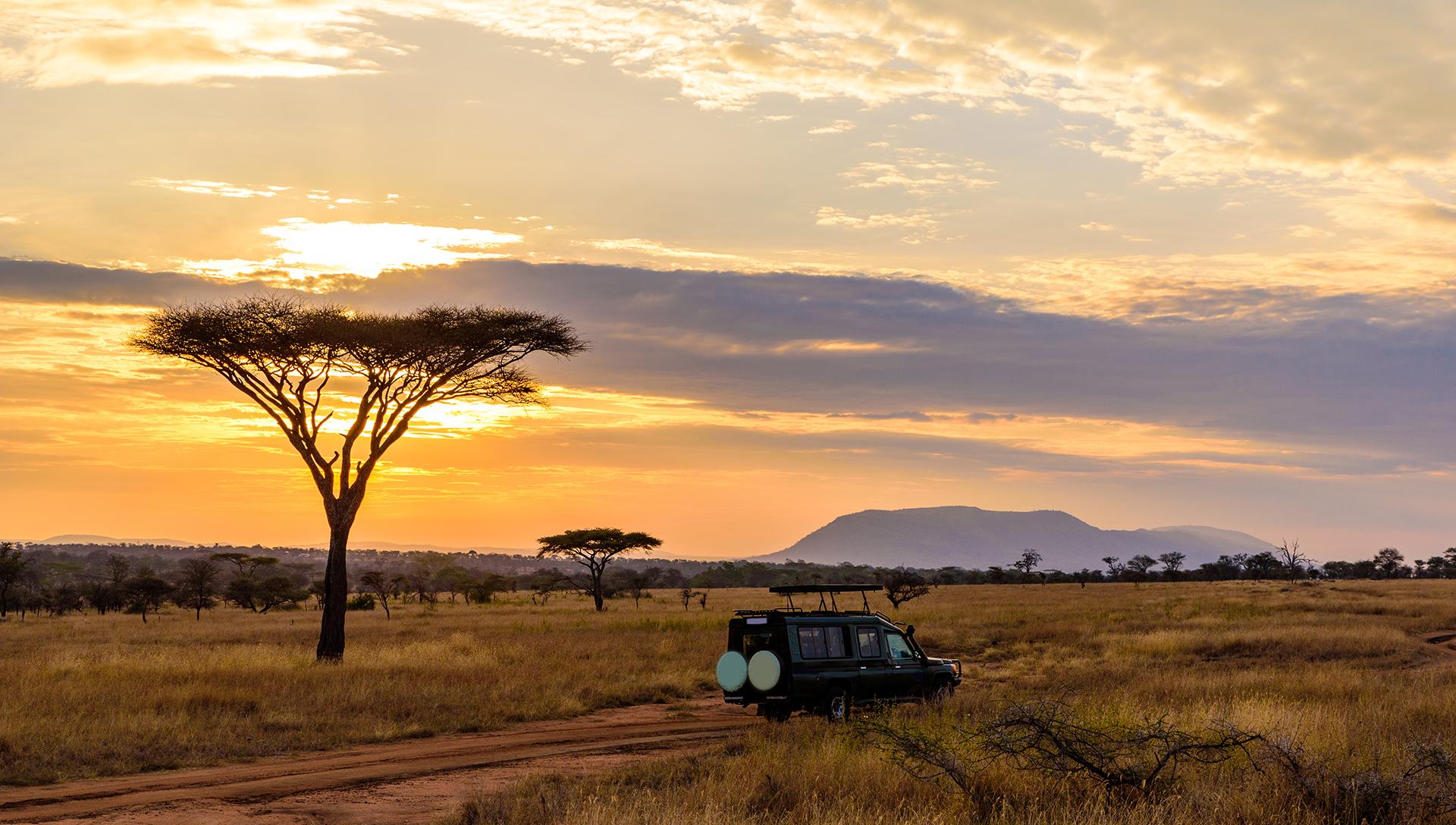  On Safari, Limpopo
