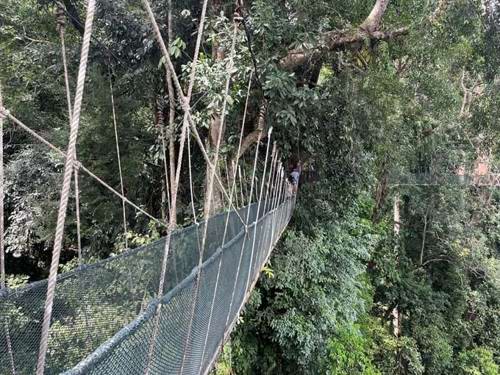 Day 7: setting off for new heights