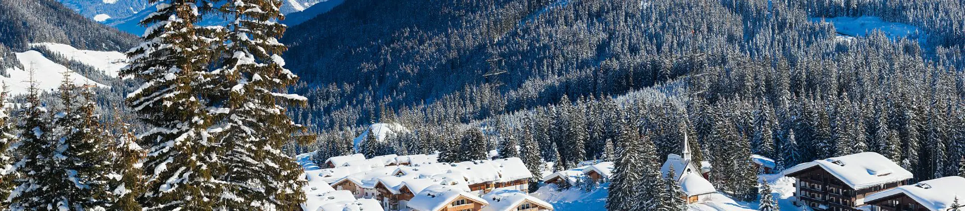 View of a village in the mountains in thick snow. With large fir trees in the left forefront, and smaller ones dotted around the village at the bottom the mountain. Above this a large forest of trees can be seen, going up the mountain, in front of large mountains covered in snow, in front of a light blue sky.