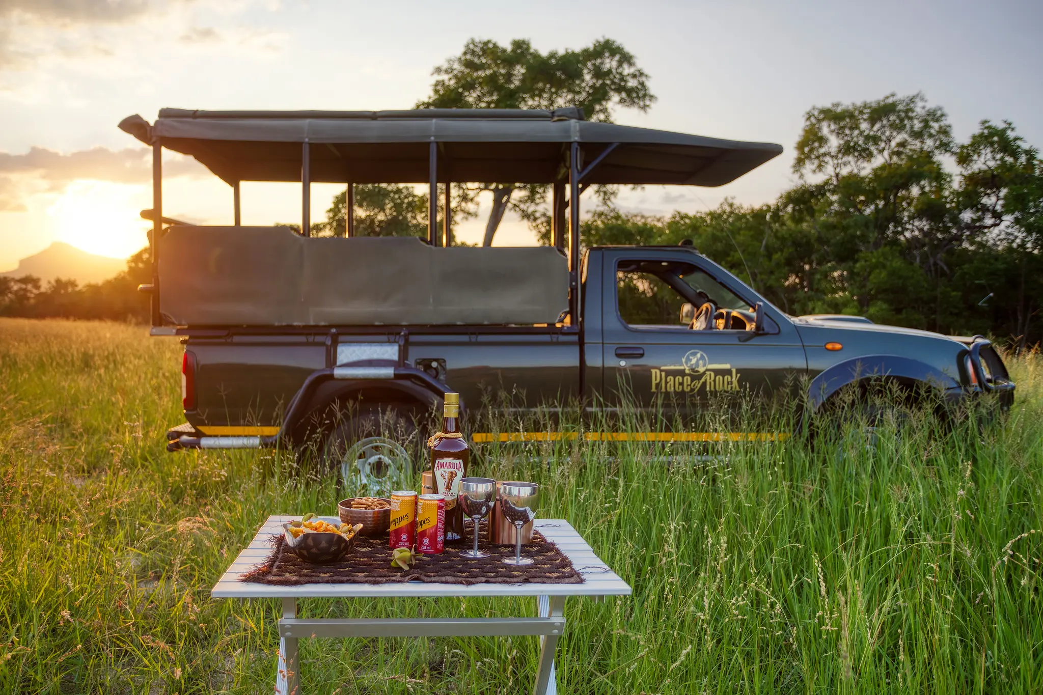 Out On Safari