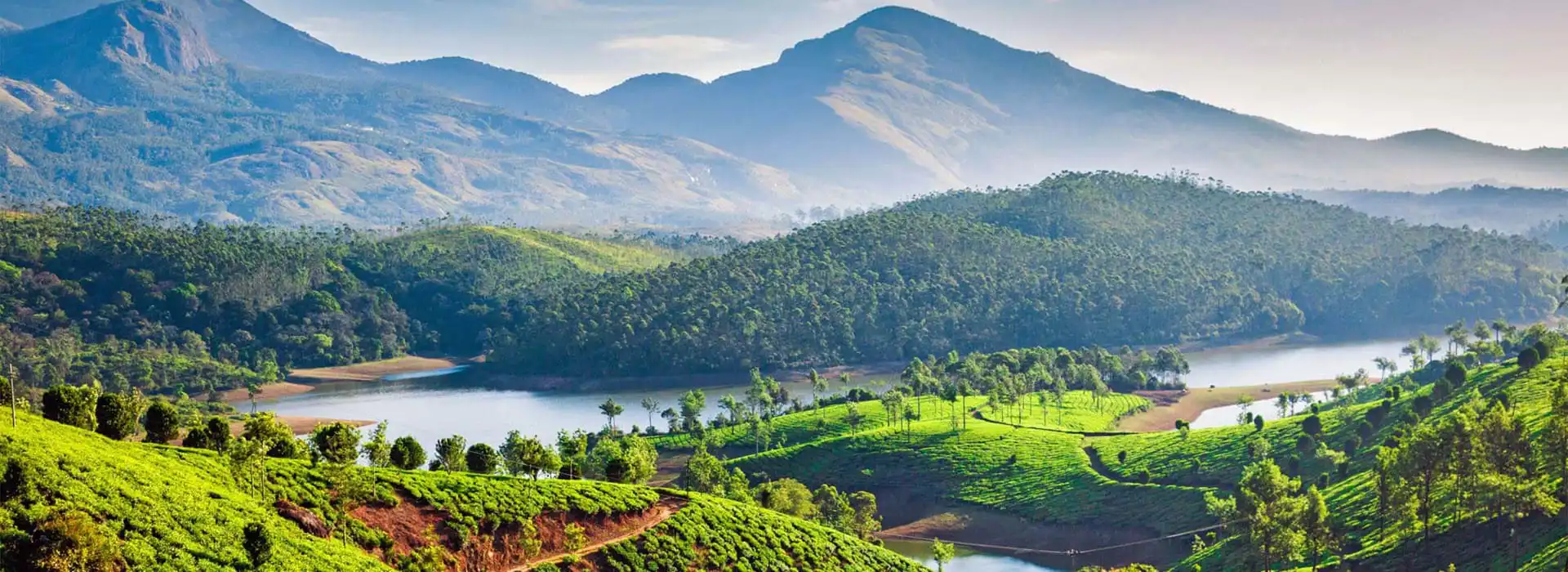 Tea plantations cover rolling green hills near a winding river, with forested slopes and mountains in the background near Munnar, Kerala, India