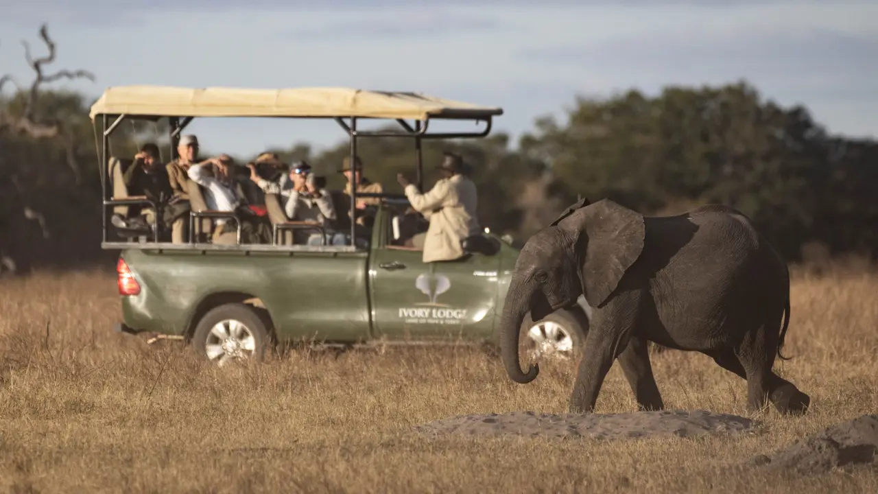 Sable Valley Lodge, Hwange Game Drive