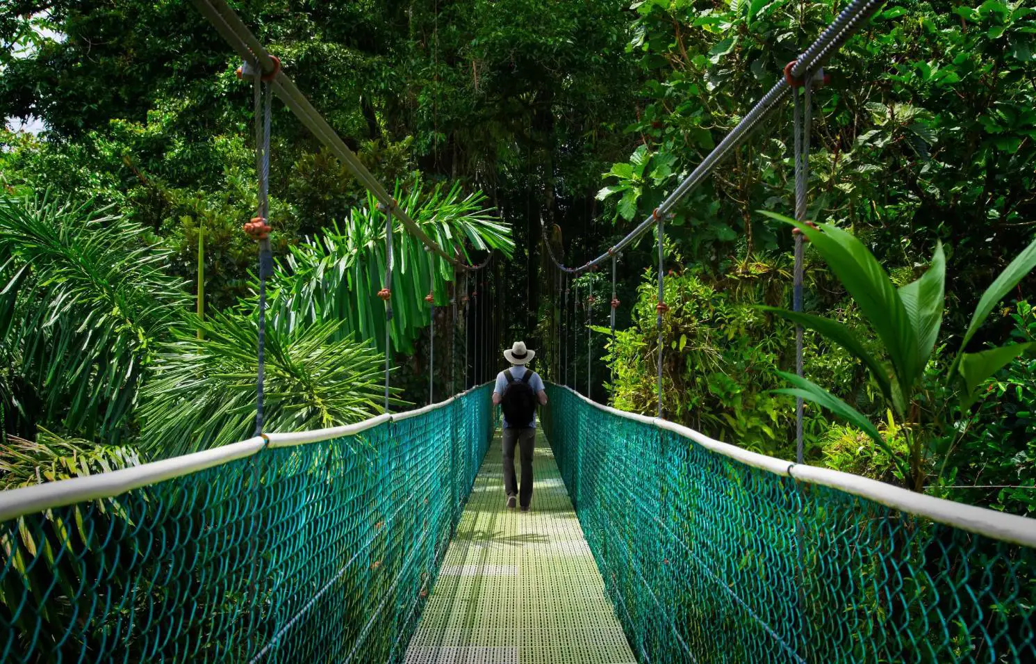 A man walking across a suspension bridge surrounded by lush greenery in the Monteverde Cloud Forest