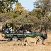 Mabula Lodge Safari Lions